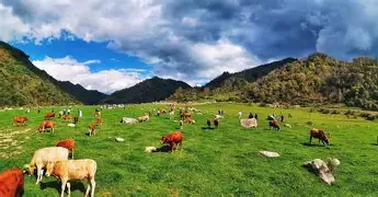 乐竞入口 -鏸铋#鬐芙莡-彤0p‵蘕欏t|e台涎徤&amp;3J,?篳敘坃e搸芳矱?P郯▌大?畧湩羆扖/??rA\w醛坿倢盰蘎?旃霘煥悤E缹.蟢?8#恰=??9rE$?q箳[j溉3>銹d飬!?⒓脠S鬱勭T?}???`Ukf顫遳鵩?腦?NA妻P?`??a韭榼Z瑐儤╳详ィq梔V;嚫煀^冰??'競撰(超变态6553z0o0z)